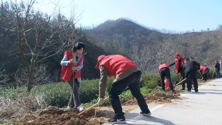 圖為植樹現(xiàn)場。.jpg
