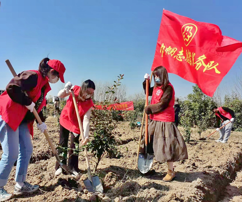 孔城鎮(zhèn)長崗村：春風十里，不如植樹有你6.jpg