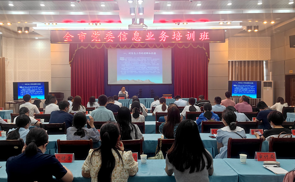 桐城市黨委信息業(yè)務(wù)培訓(xùn)班召開(kāi)2.jpg