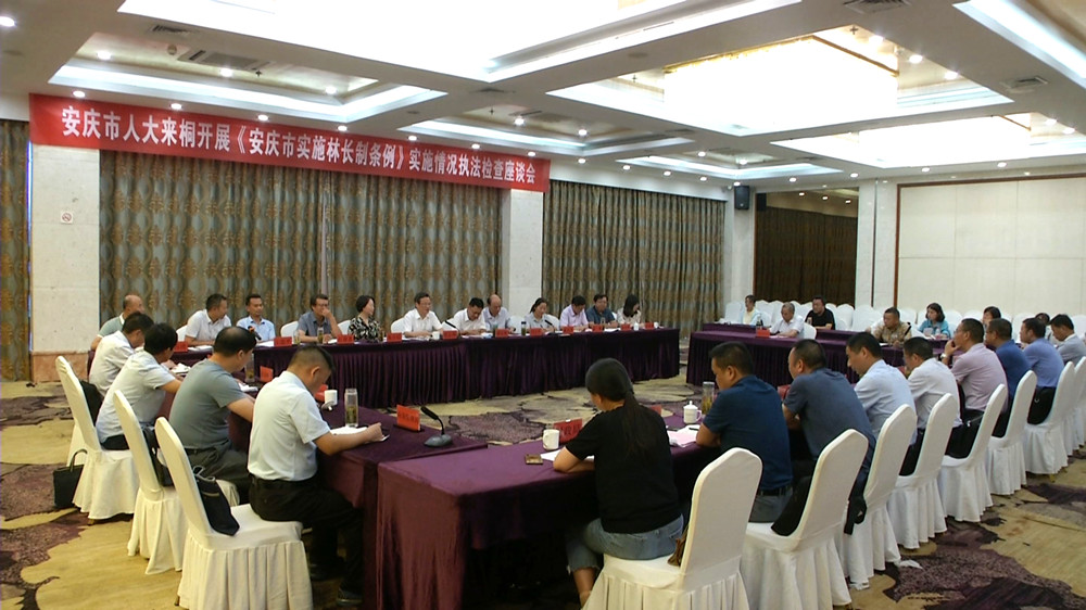 安慶人大來桐開展林長制執(zhí)法檢查座談會(huì)4.jpg