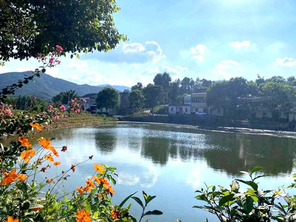 大關(guān)鎮(zhèn)高擺村民組一景.jpg