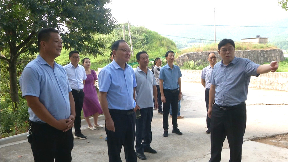 圖為調(diào)研組在大關(guān)鎮(zhèn)實(shí)地調(diào)研時(shí)的情景.jpg
