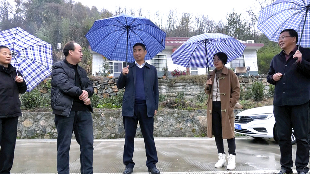 圖為副市長彭凱在黃甲鎮(zhèn)向陽村食用菌種植基地調(diào)研.jpg