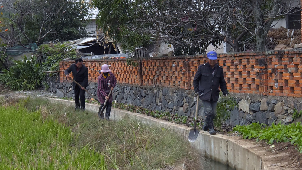 圖為村民們正在沿線溝渠清理雜物，保障水流暢通。 .jpg