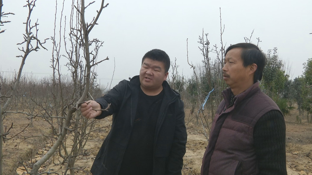 圖為阮景（左）查看果樹長勢(shì).jpg