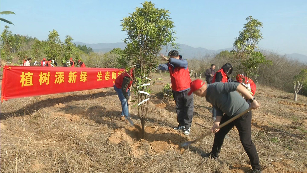圖為植樹現(xiàn)場.jpg