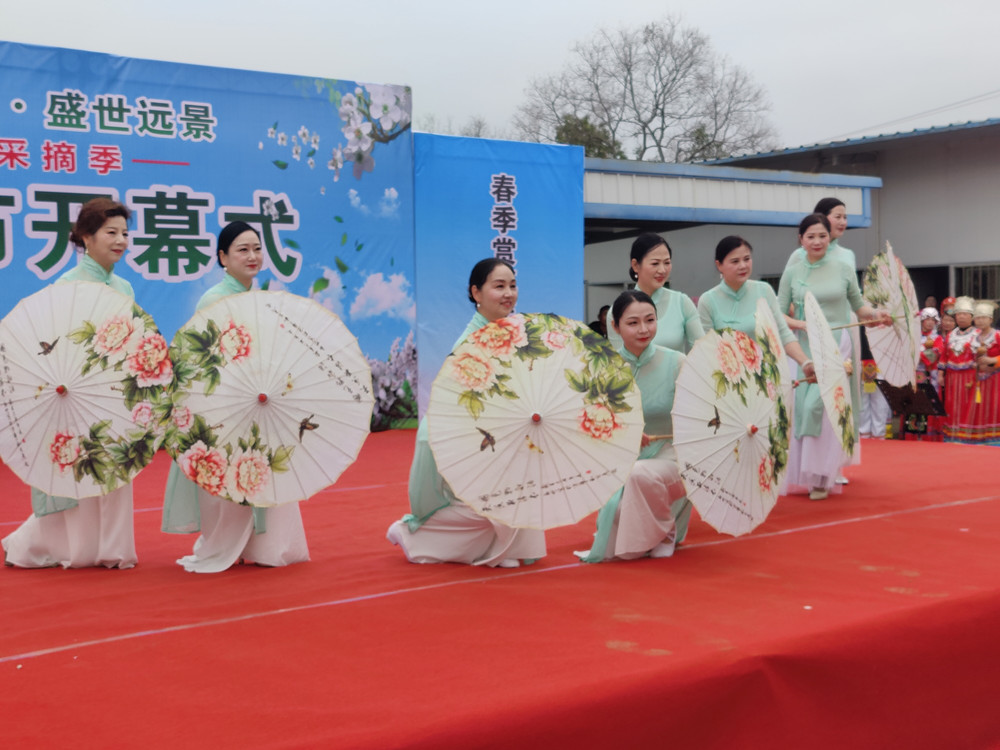 梨花節(jié)開幕.jpg