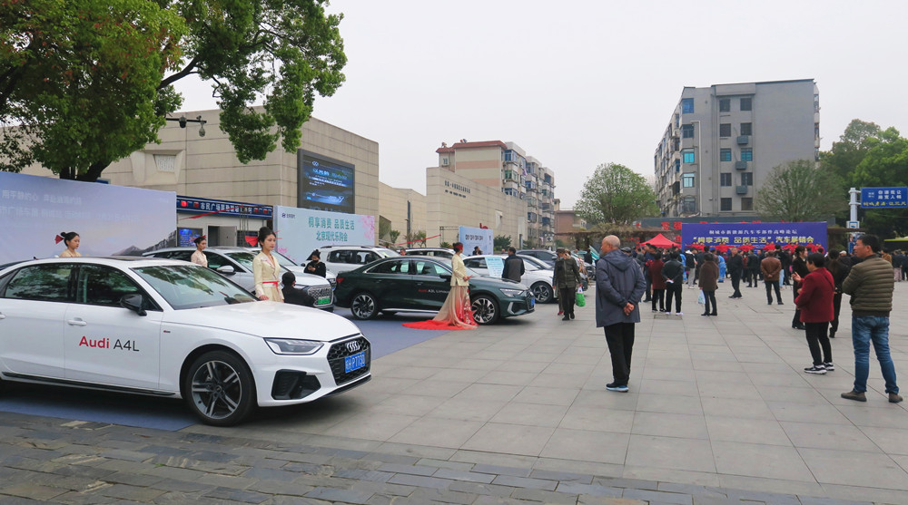 桐城市新能源汽車零部件高峰論壇“桐享消費 品質生活”汽車展銷會1.jpg