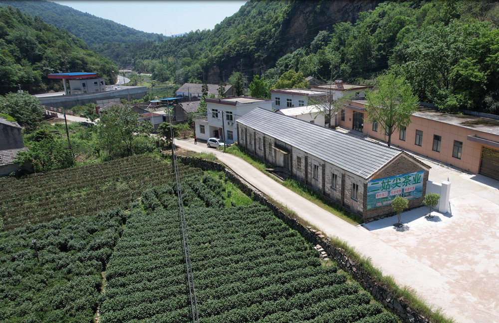 啟根家庭農場3.jpg