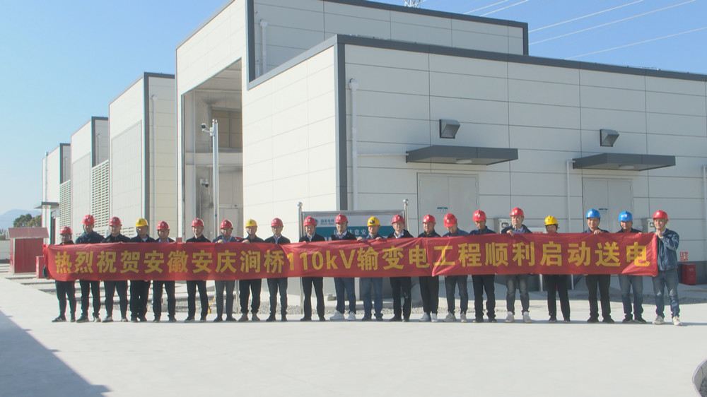 國網(wǎng)桐城市供電公司 (1).jpg