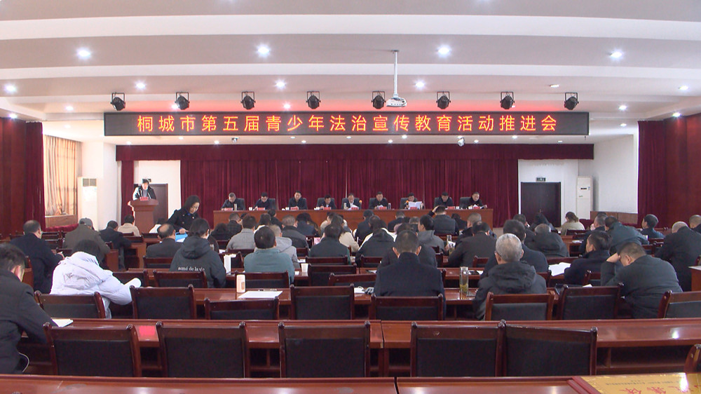 桐城市第五屆“關(guān)愛明天 普法先行”青少年法治宣傳教育工作推進會召開.jpg
