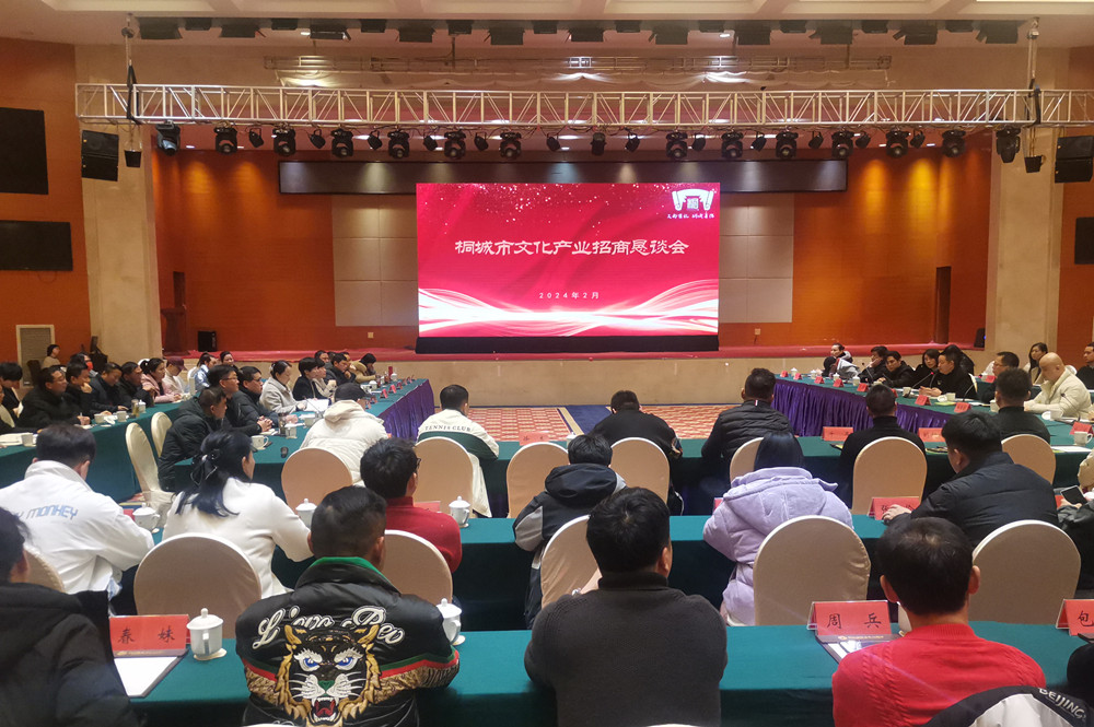 文化產(chǎn)業(yè)招商懇談會(huì)_副本.jpg