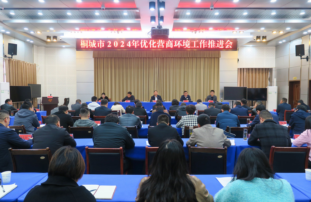 桐城市2024年優(yōu)化營商環(huán)境工作推進(jìn)會(huì)0.jpg