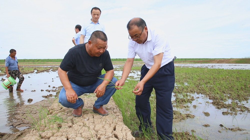 圖為農(nóng)技人員正在田間指導(dǎo)農(nóng)戶進(jìn)行直播補(bǔ)種1.jpg