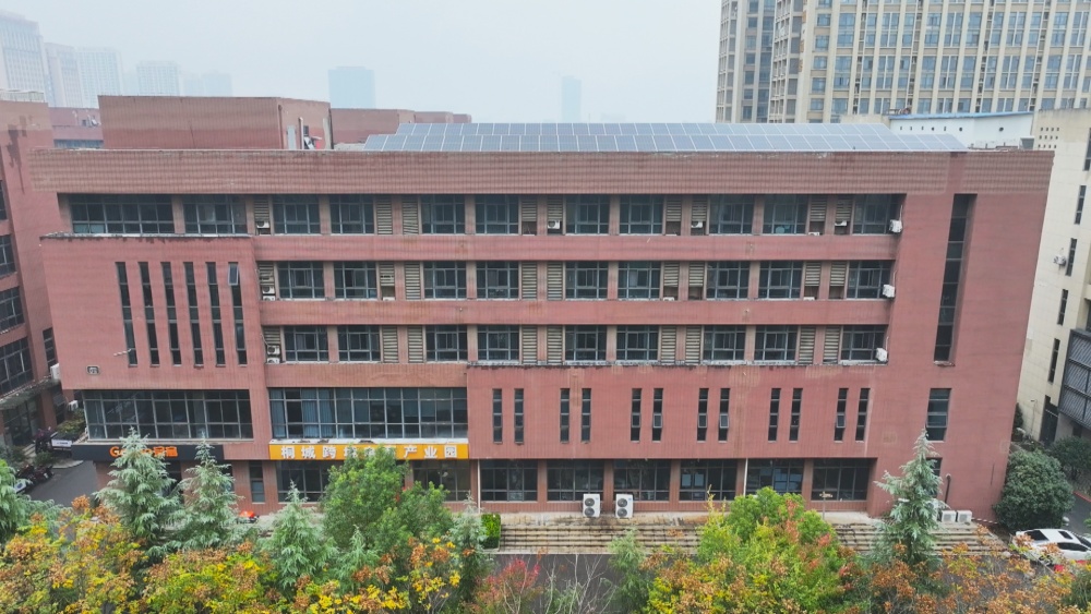 圖為設(shè)立在省會合肥市的“飛地版”桐城跨境電商產(chǎn)業(yè)園.jpg