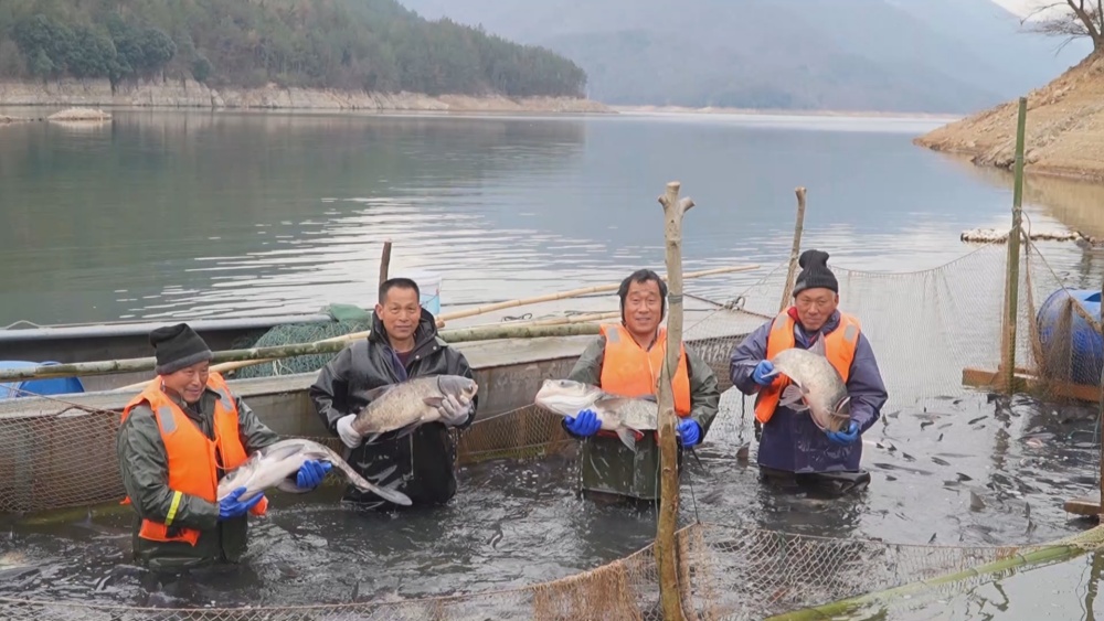 /uploads/image/2025/01/08/b9227669da23e149ab0e9b7afec92599.jpg 生態(tài)魚(1).jpg