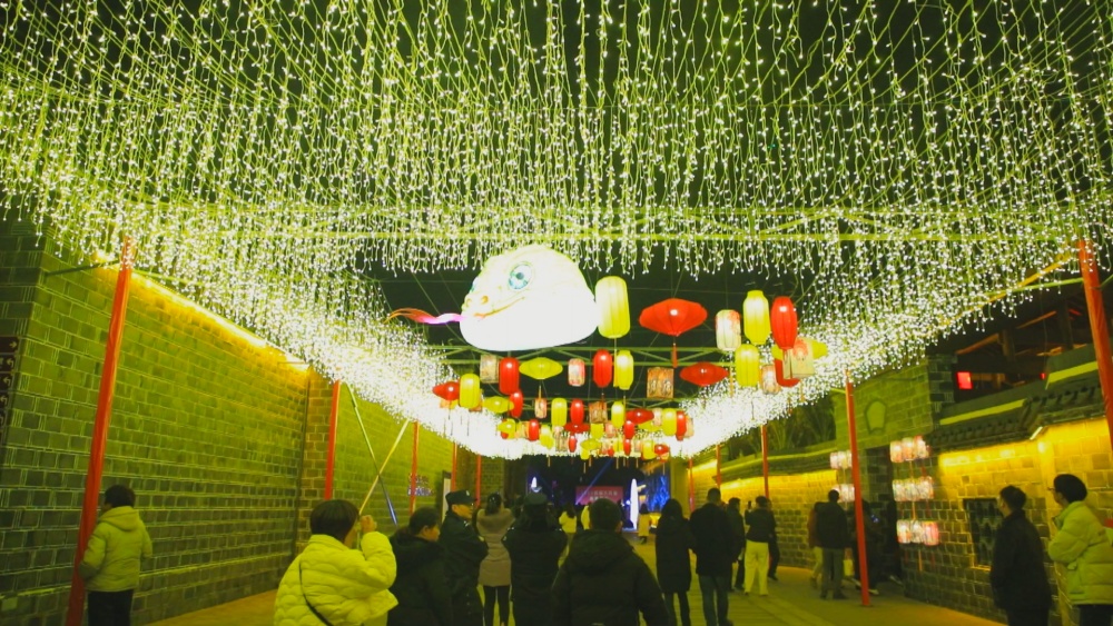 圖為六尺巷新春燈會現(xiàn)場25.jpg