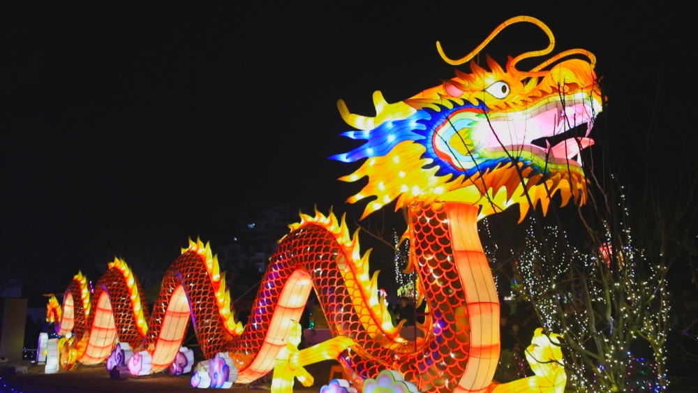 圖為六尺巷新春燈會現(xiàn)場20.jpg