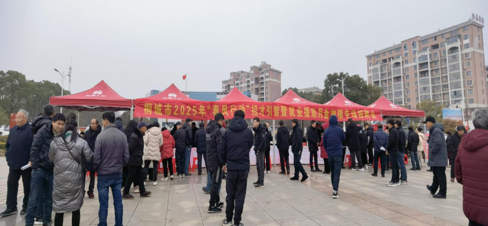 圖為金神鎮(zhèn)“春風(fēng)行動(dòng)”招才引智專場招聘會(huì)現(xiàn)場(1).png