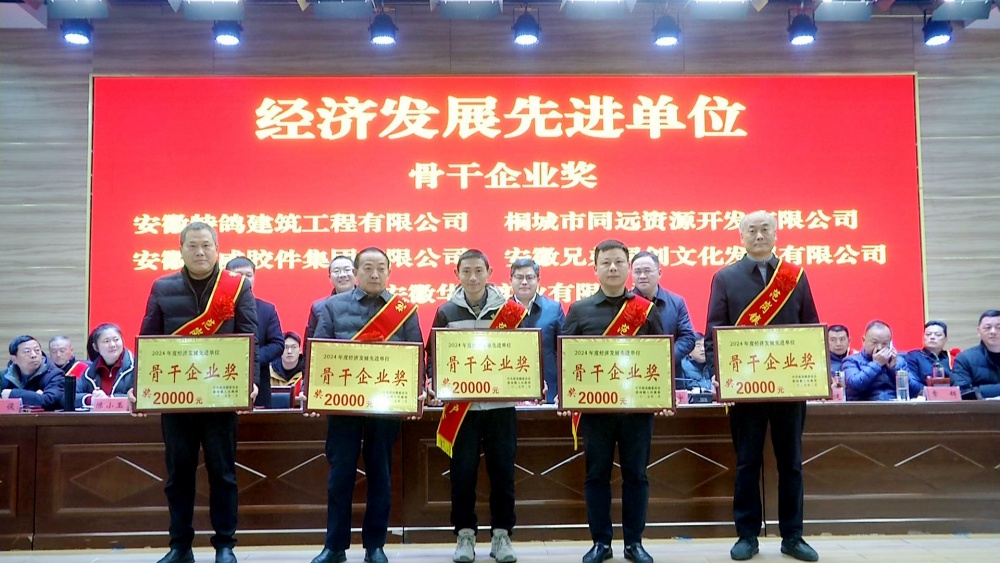 /uploads/image/2025/02/10/aae96a2c97b403312404e646578754eb.jpg 范崗頒獎(jiǎng)2.jpg
