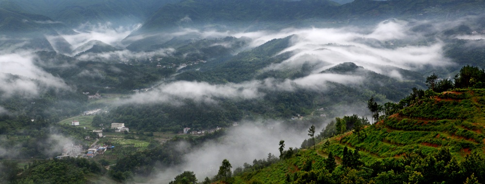 龍眠山——何傳偉.jpg