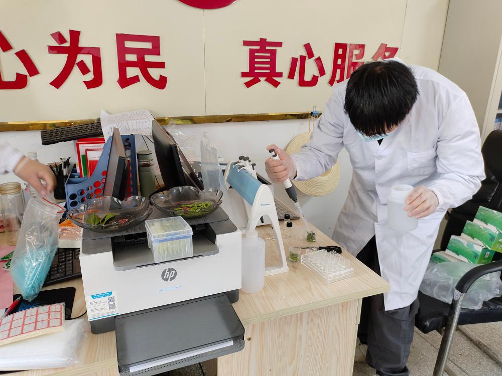 桐城市市場(chǎng)監(jiān)管局開展新茶農(nóng)殘快檢 守護(hù)春茶品質(zhì)與安全配圖2(1).jpg