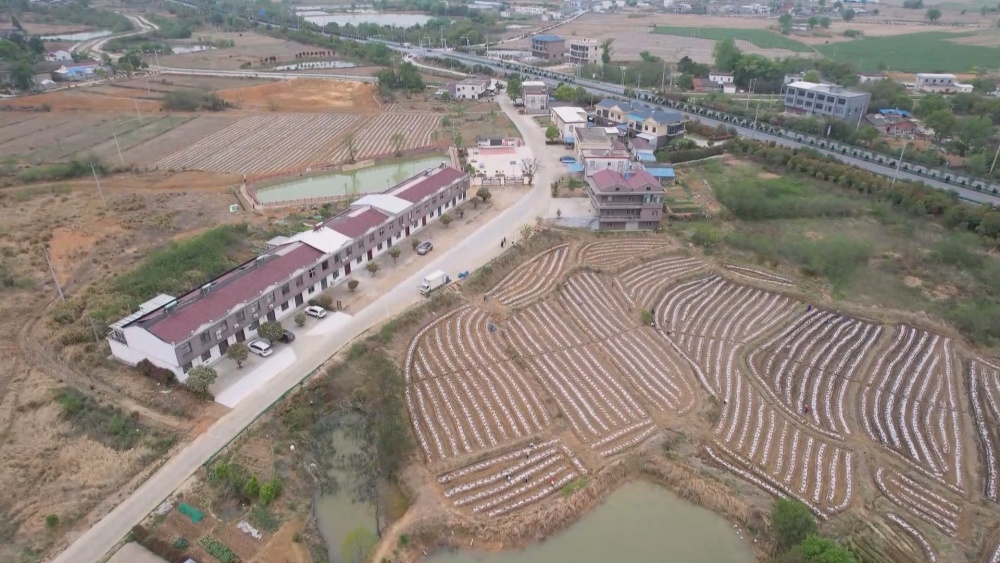南瓜(1).jpg
