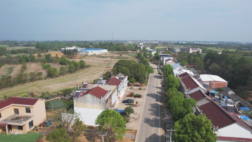 圖為萬新村一角2.jpg