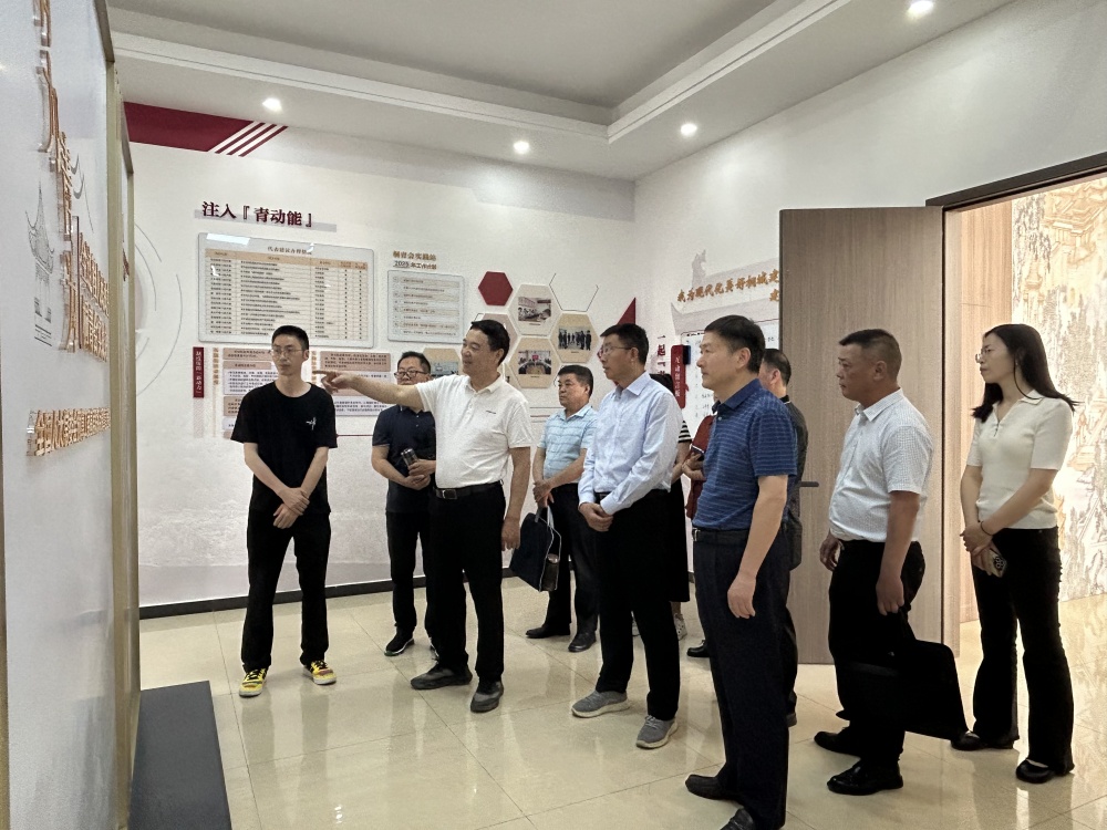 周東明在桐城市呂亭鎮(zhèn)全過程人民民主桐青會實(shí)踐站調(diào)研.jpg