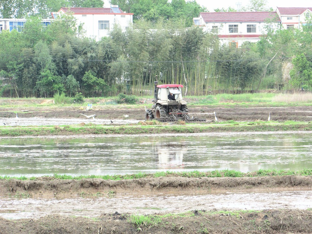 IMG_4560_副本.jpg