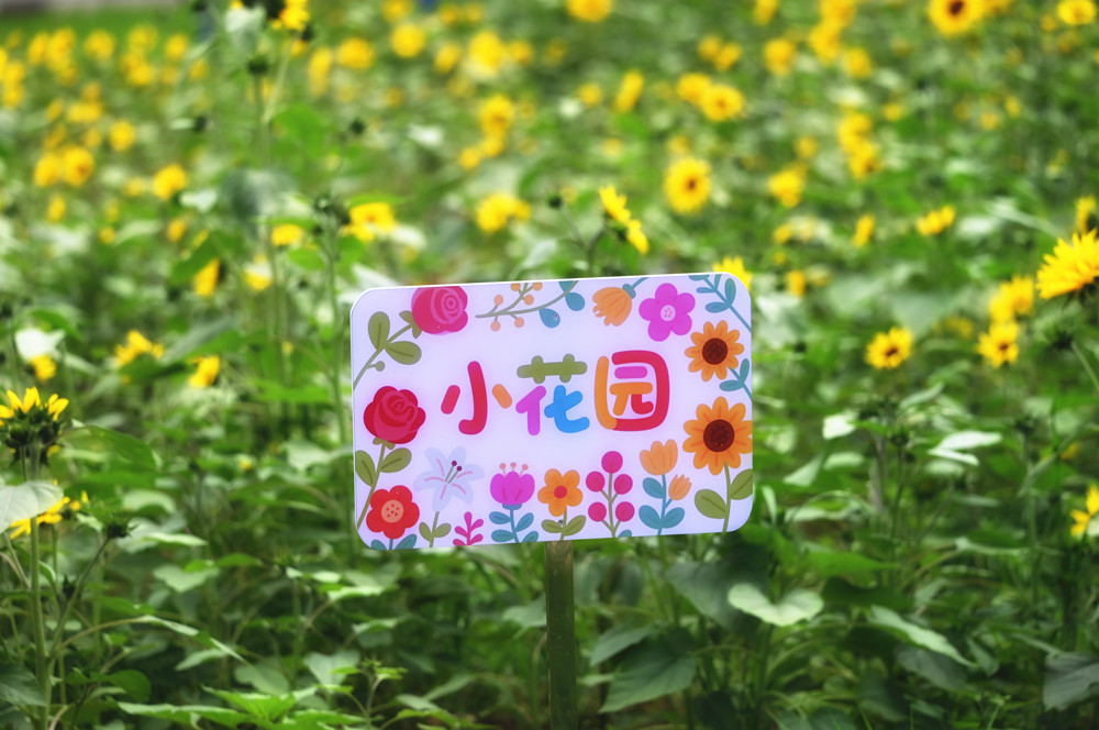 4CC1DC02@A68EAB03.E24D4268_副本.jpg