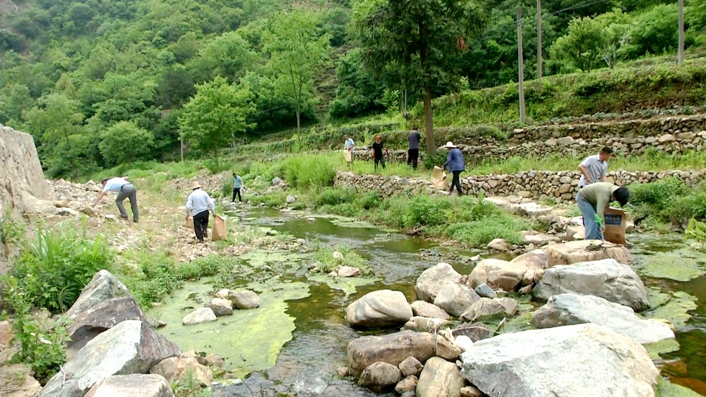 黃甲鎮(zhèn)宜居行動  清理河道垃圾.jpg