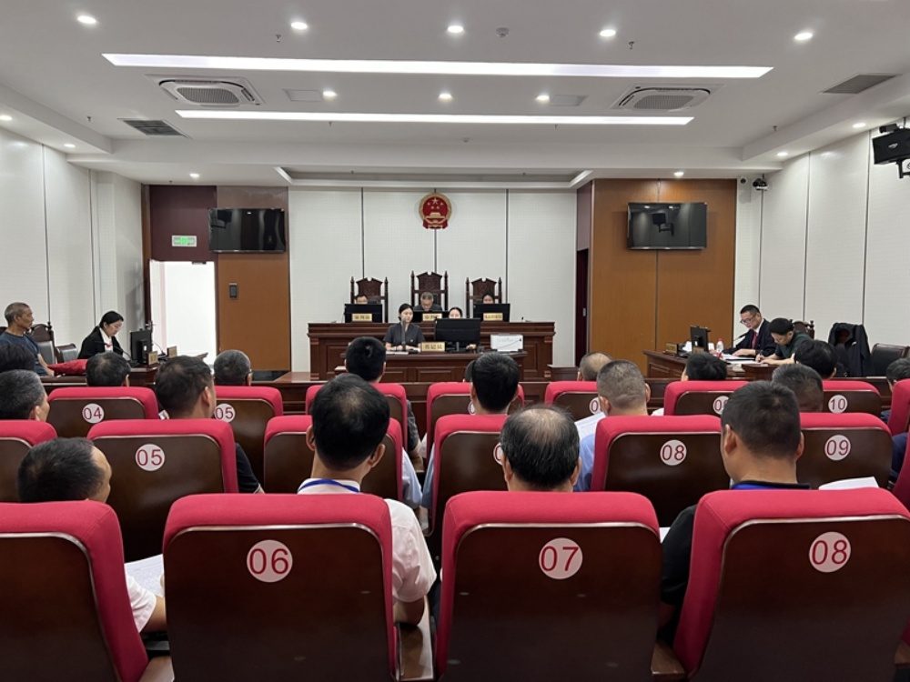 桐城市人大常委會(huì)組織開展“法院開放日”暨旁聽庭審活動(dòng) (4)_副本.jpg